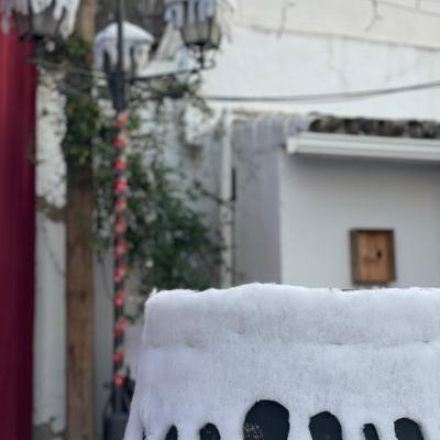 Instalaciones Abaceria La Familia