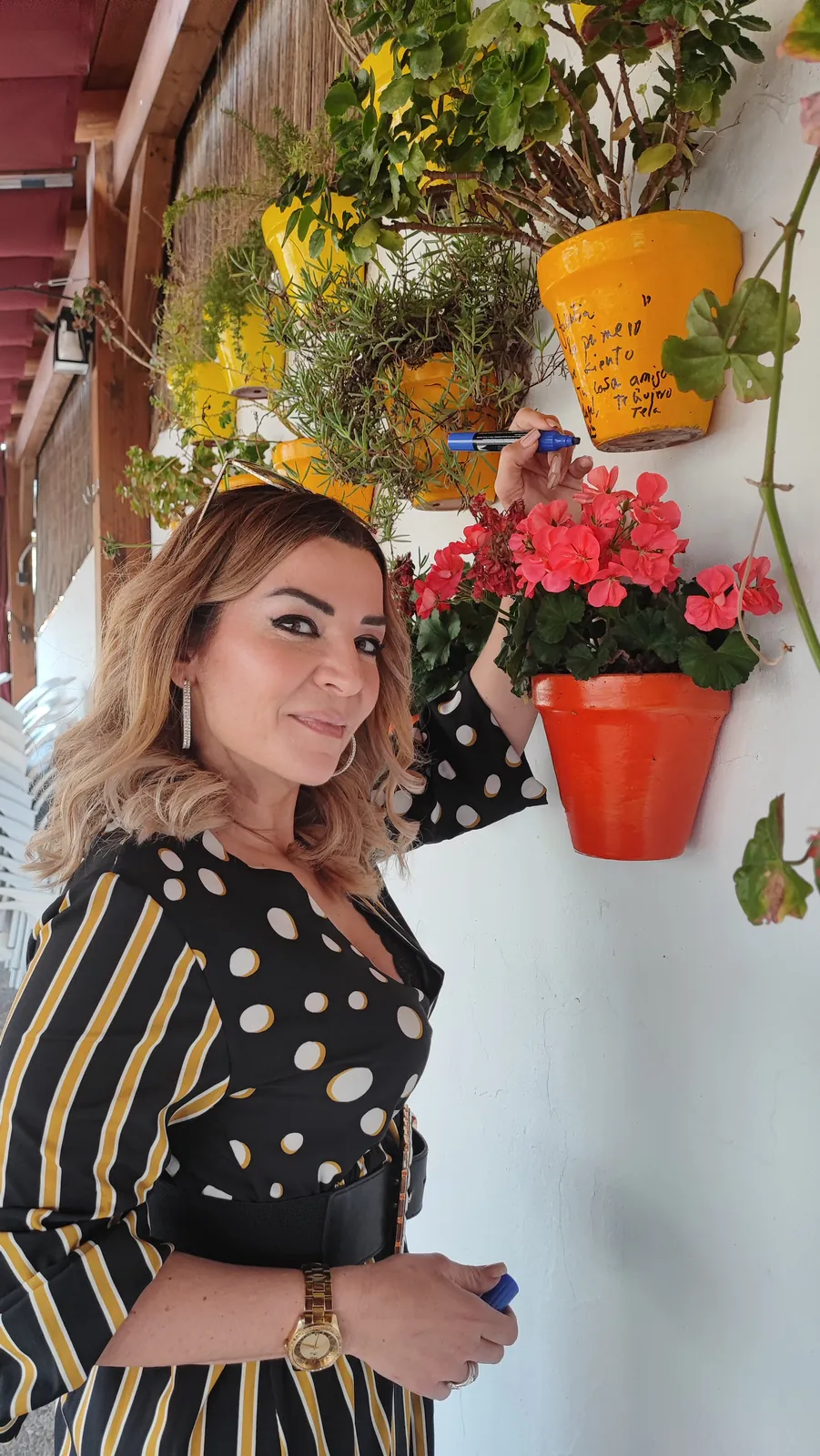 Maceta firmada por clientes de Abacería La Familia, en Castilleja de la Cuesta (20 de 54)