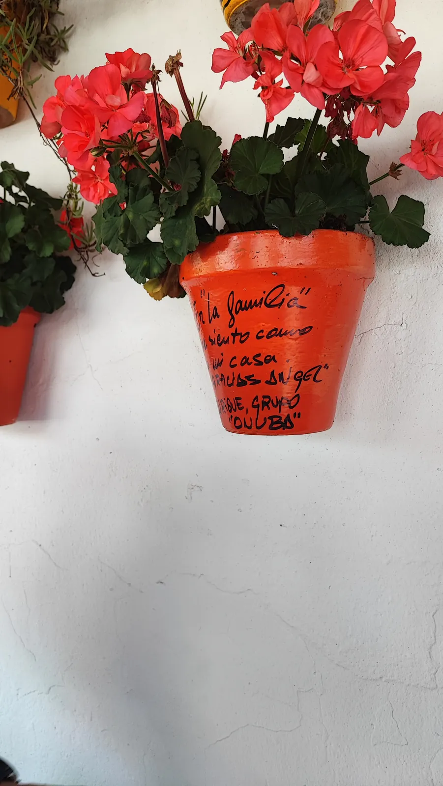 Maceta firmada por clientes de Abacería La Familia, en Castilleja de la Cuesta (22 de 54)
