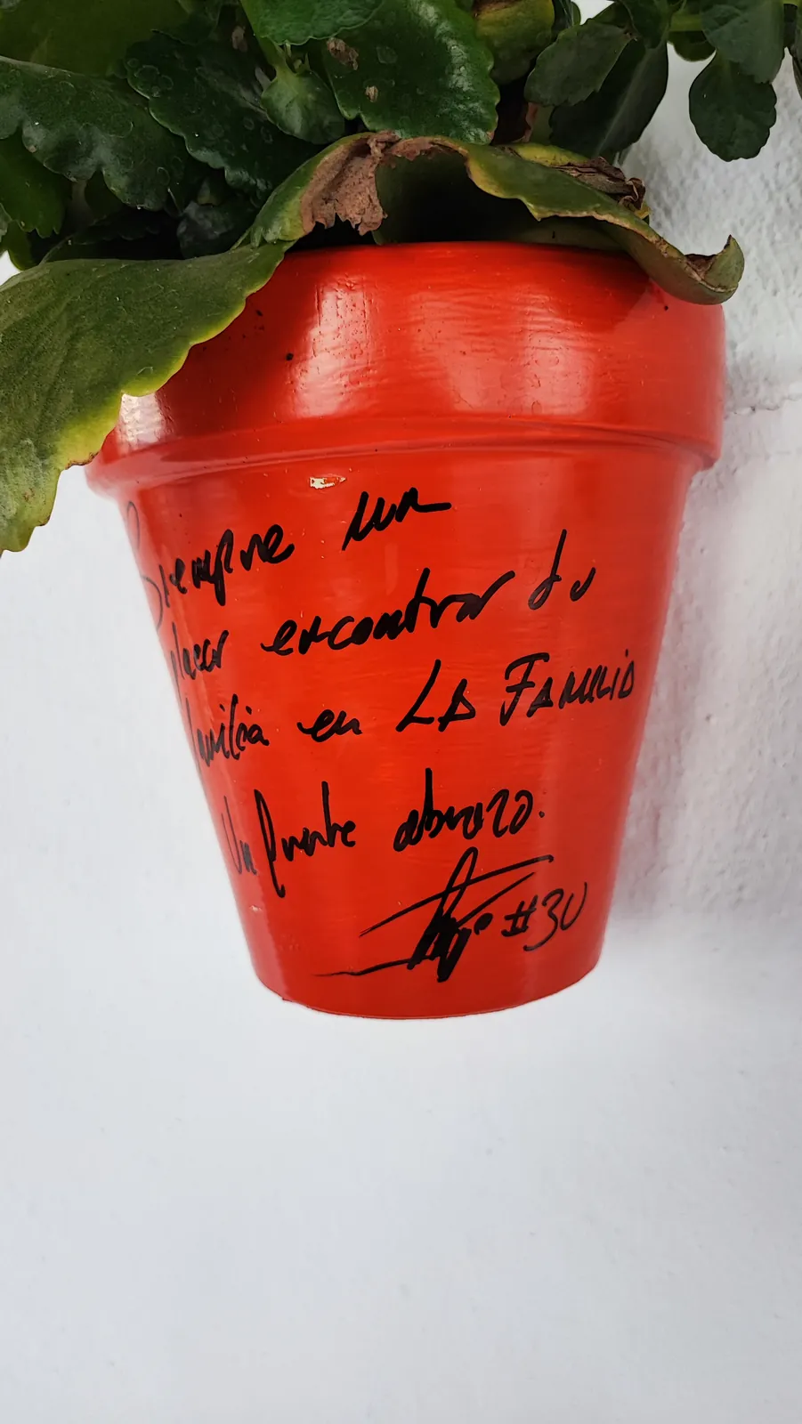 Maceta firmada por clientes de Abacería La Familia, en Castilleja de la Cuesta (34 de 54)