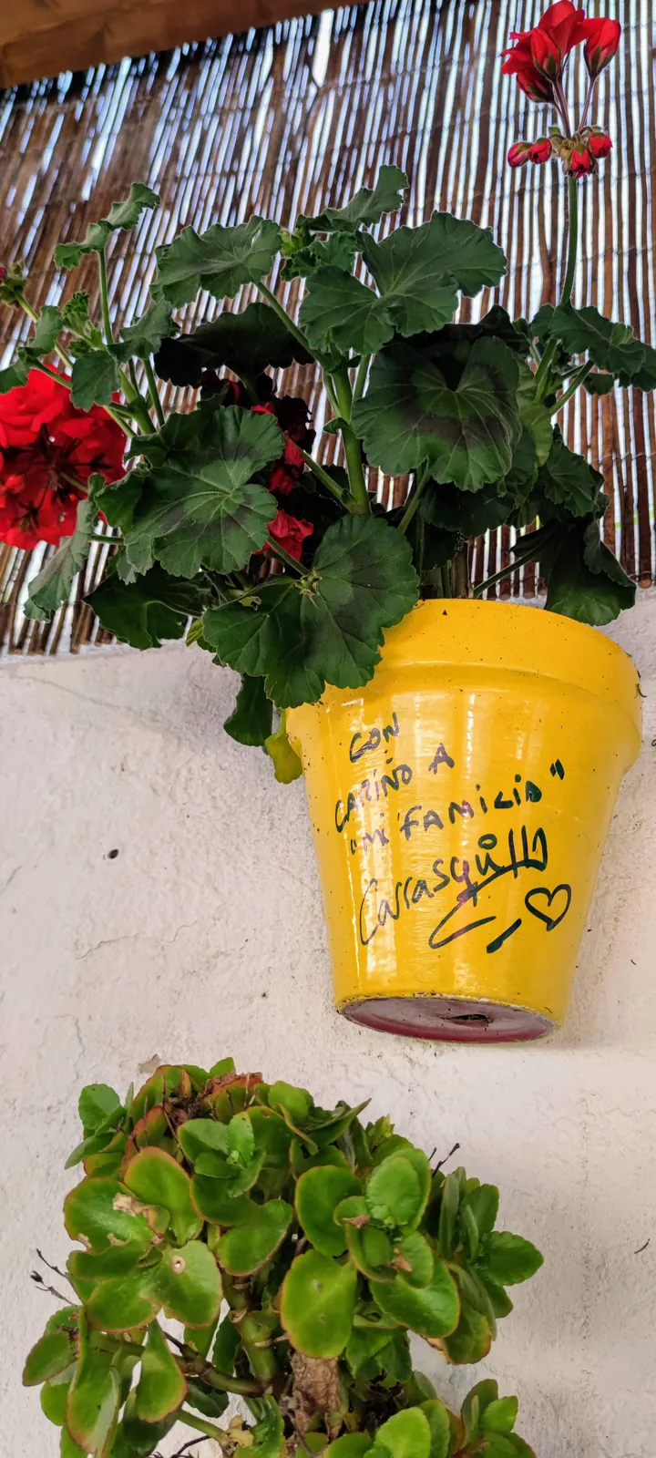 Maceta firmada por clientes de Abacería La Familia, en Castilleja de la Cuesta (46 de 54)
