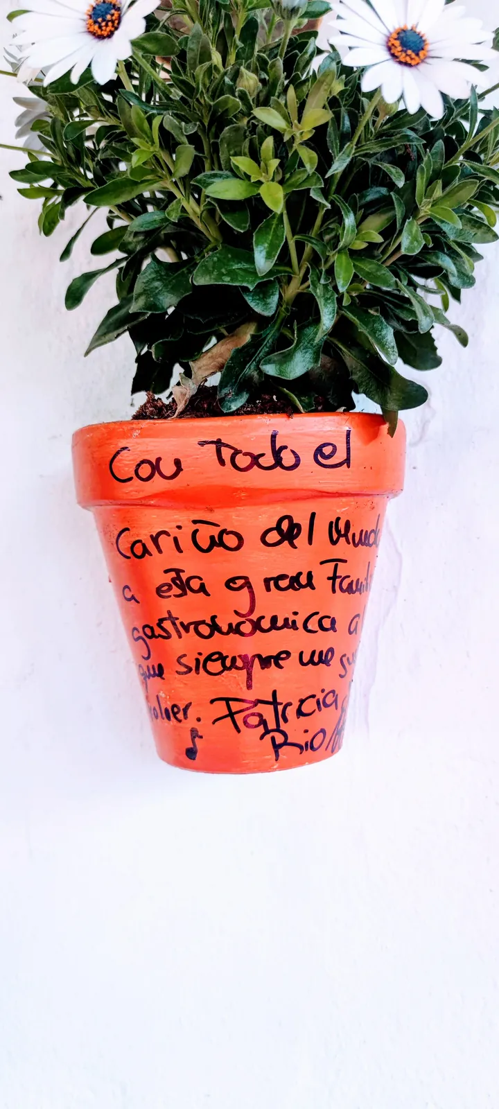 Maceta firmada por clientes de Abacería La Familia, en Castilleja de la Cuesta (47 de 54)