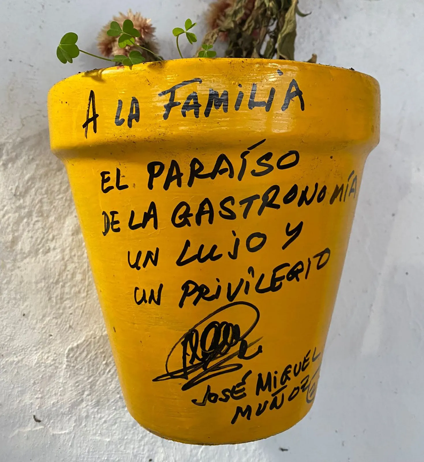 Maceta firmada por clientes de Abacería La Familia, en Castilleja de la Cuesta (52 de 54)