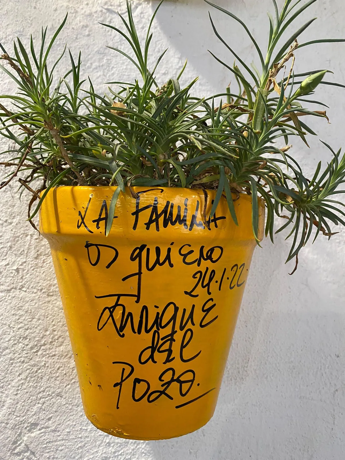 Maceta firmada por clientes de Abacería La Familia, en Castilleja de la Cuesta (53 de 54)